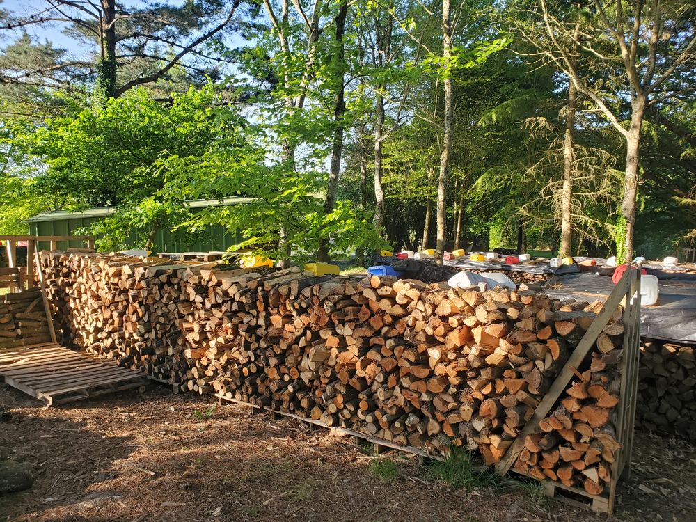 de bois de chauffage Jardin