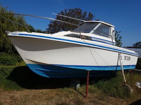 Bateaux à moteur Pêche-promenade 1990 occasion Locquirec 29241