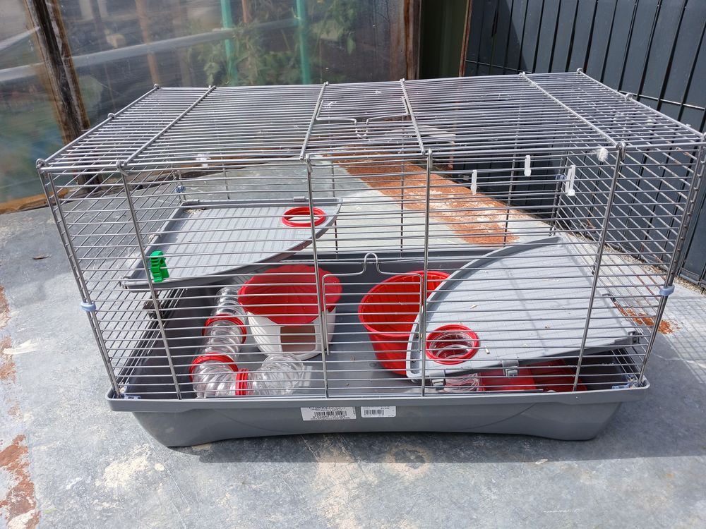   cage pour hamster 