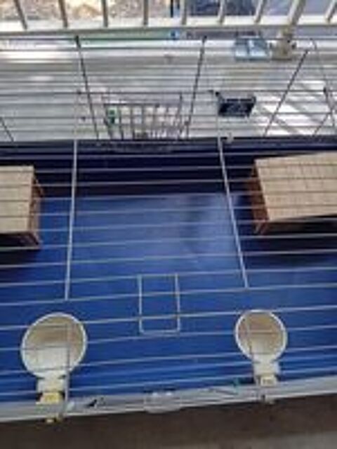   Cage rongeur 