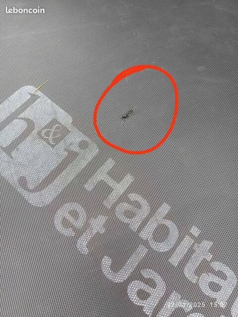 Trampoline  Yoopi  20 Les Éparres (38)