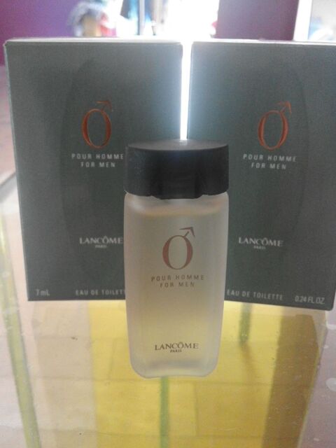 Miniature de parfum 5 Vannes (56)