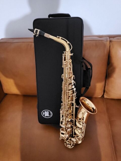 saxophone (alto) , neuf jamais utilisé. 389 Saint-Julien-en-Genevois (74)