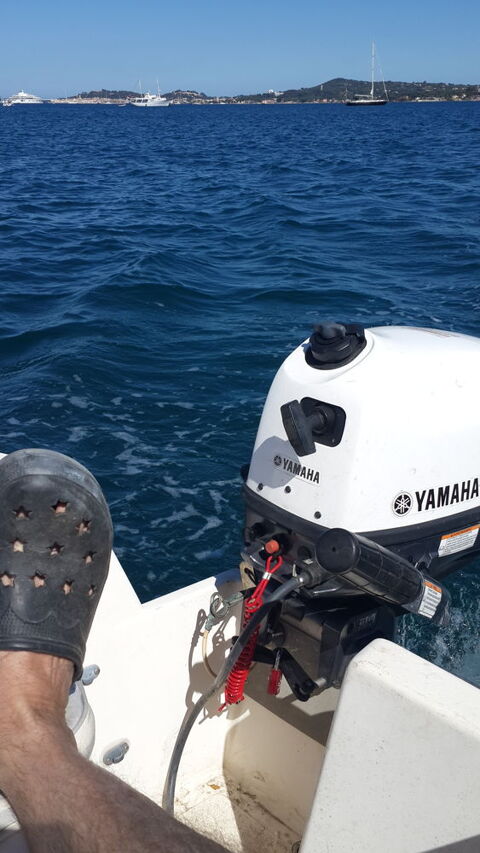 Moteurs de bateaux Moteurs de bateaux 2018 occasion Grimaud 83310