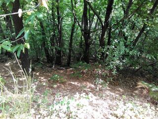  Terrain � vendre 3500 m� Al�s