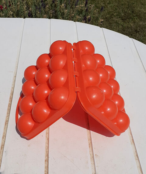 Boite  ?ufs (X12 oeufs) plastique 6 Barbentane (13)