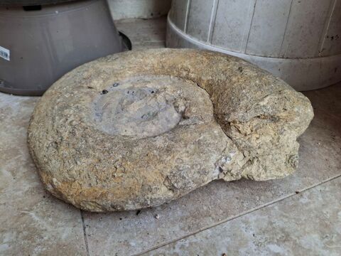 Hammonit 0 Vierzon (18)