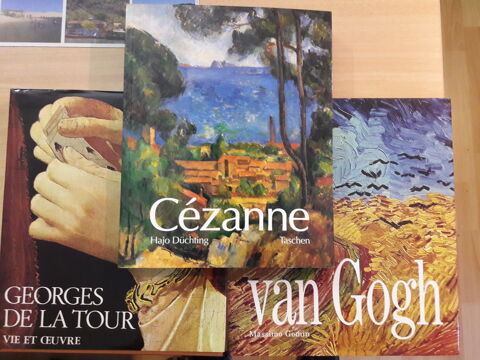 Lot de 3 livres sur la peinture 50 Grenoble (38)