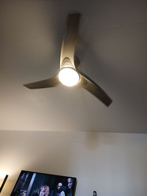 Ventilateur plafond Tournon-sur-Rhône (07)