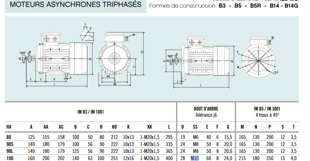 moteur triphase LS100L1 2.2 kw 1435t/mn 3cv Bricolage
