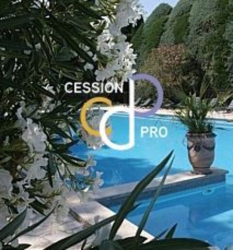 HOTEL RESTAURANT IDYLLIQUE A CEDER MURS ET FONDS DANS LES ALPILLES 6045912 13200 Arles