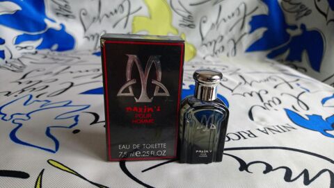 MINIATURE DE PARFUM 5 Trouy (18)