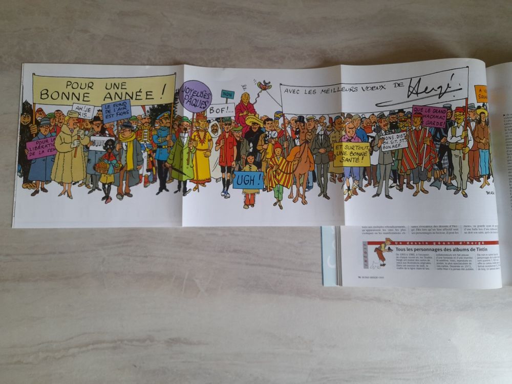 ALBUMS TINTIN Livres et BD