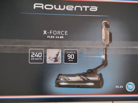 Aspirateur Rowenta X-Force flex 300 Serpaize (38)