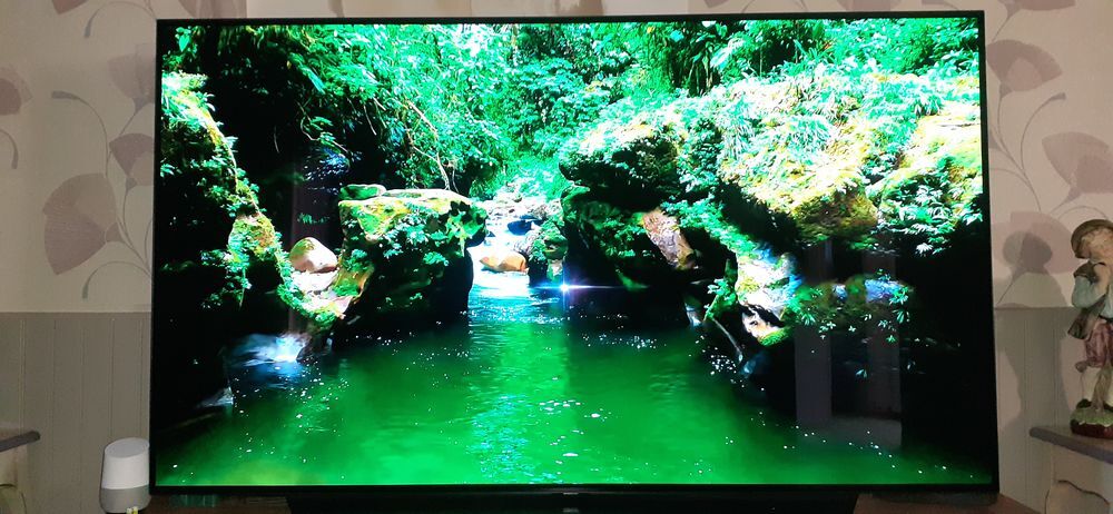 T&eacute;l&eacute;viseur LG oled Photos/Video/TV