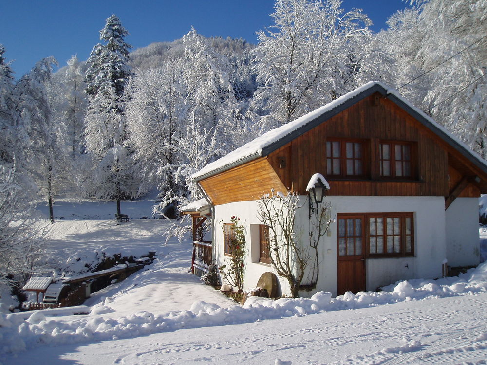   CHALET Mignon, en plein PARC NATUREL des VOSGES. 
.Alti600 m Lorraine, Le Thillot (88160)