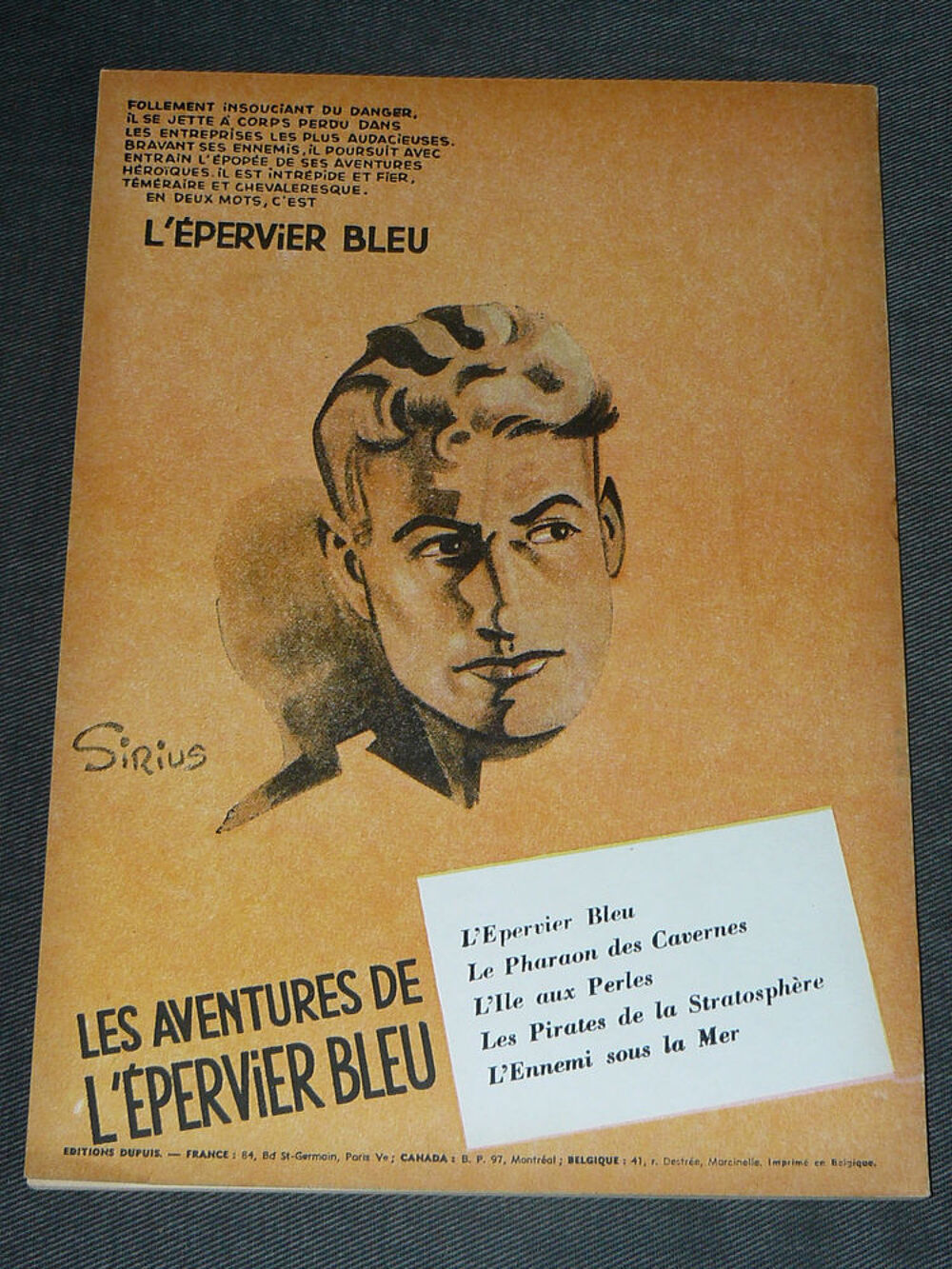 L'EPERVIER BLEU T6 La Vall&eacute;e interdite (SIRIUS) EO Livres et BD