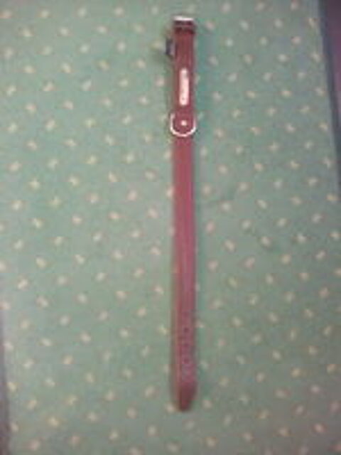   Collier Chien / Chiot T2 