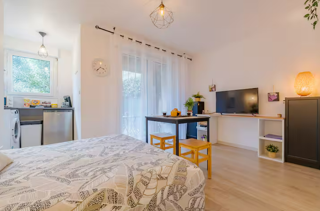  Appartement à louer 1 pièce 25 m²