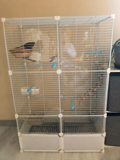 Cage 60 07380 Meyras