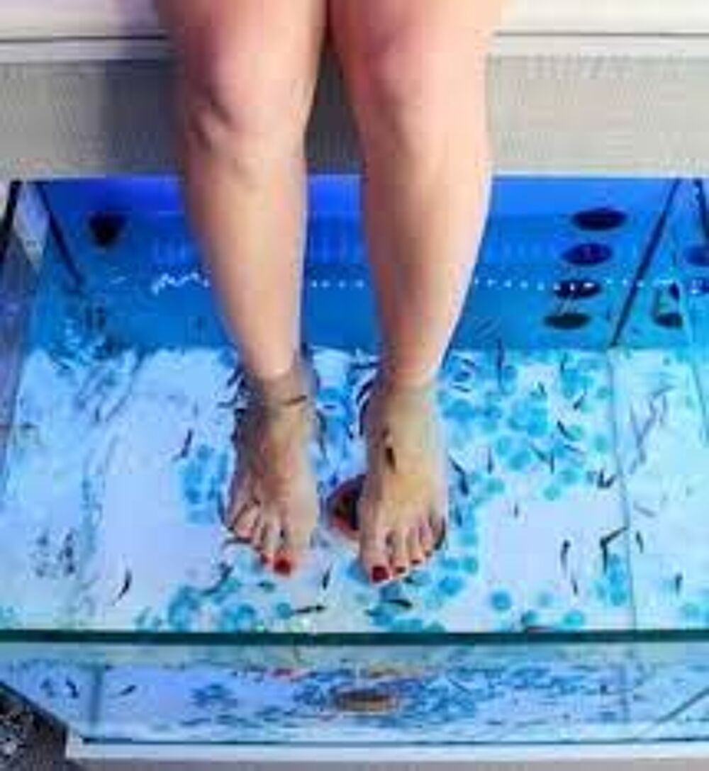 spa de places allong&eacute; marque rio valeur + 6300€ ced&eacute;e 2800€ Sports
