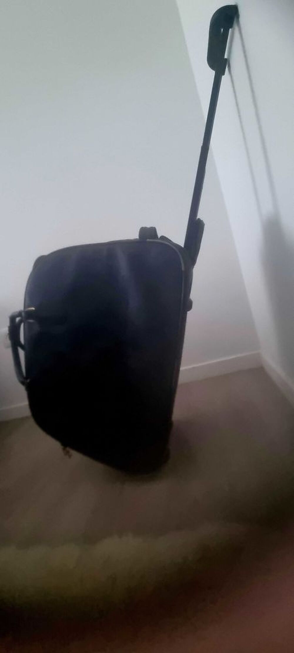 sac de voyage Maroquinerie