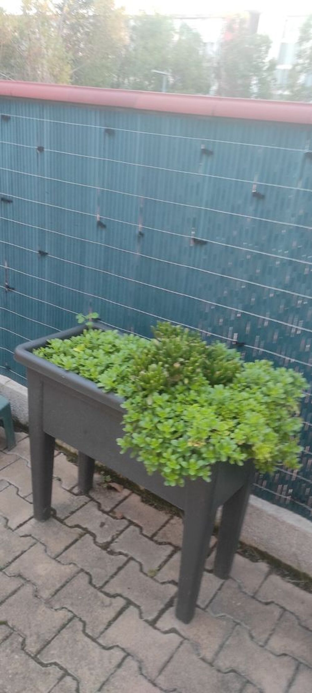 plantes int&eacute;rieures et ext&eacute;rieures + aquarium Jardin