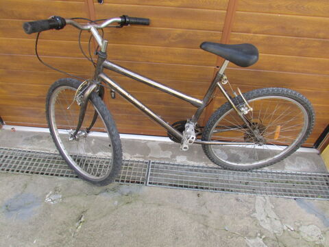Vlo VTT 20 Luceau (72)
