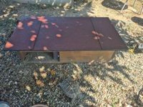   Cabane pour tortue 