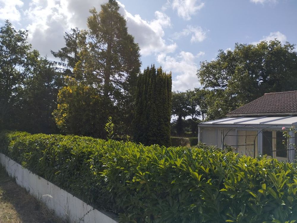 Vente Maison Maison de campagne , 10 mn de St Gilles croix de vire Saint-maixent-sur-vie