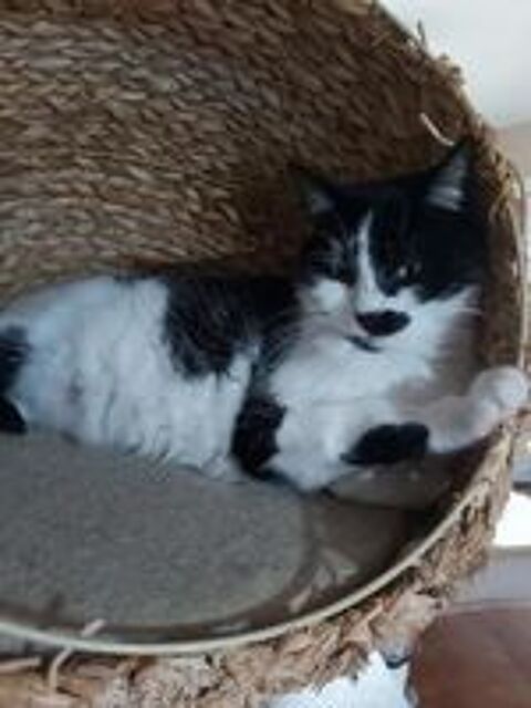   Scully, minette � conqu�rir !!! 