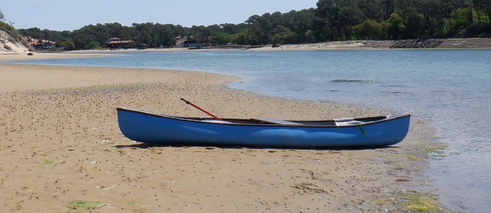 Cano&euml; type canadien Discory Old Town Bleu Sports