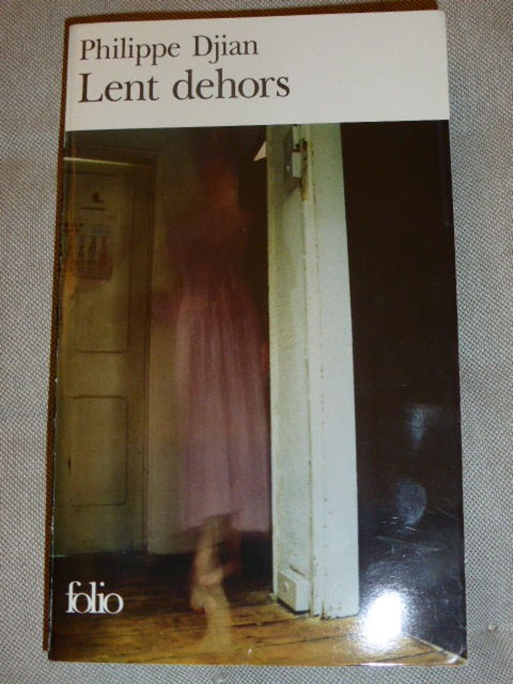 Lent dehors Philippe Djian Folio 2437 Livres et BD