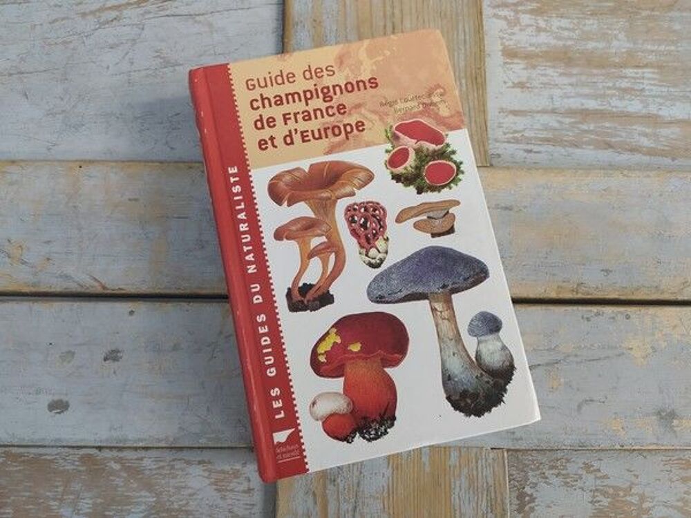 Livre Delachaux et Niestl&eacute; Champignons France et Europe Livres et BD