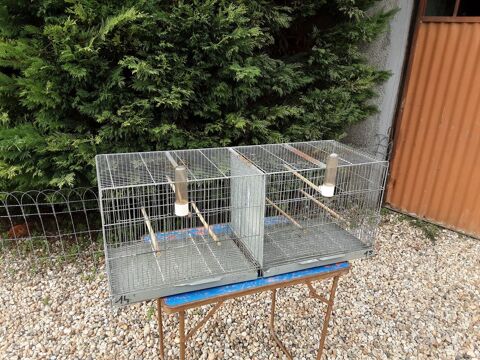 cage d'élevage canaris  35 33240 Saint-andr-de-cubzac