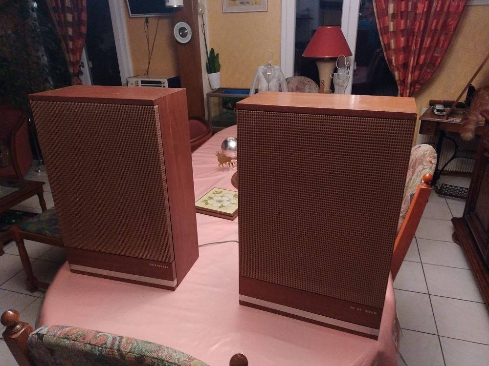 panneau musical cabasse 60' Audio et hifi