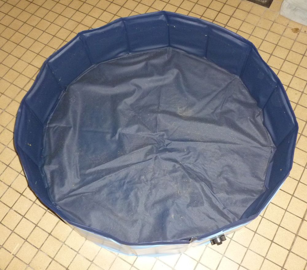   piscine pour petit chien 