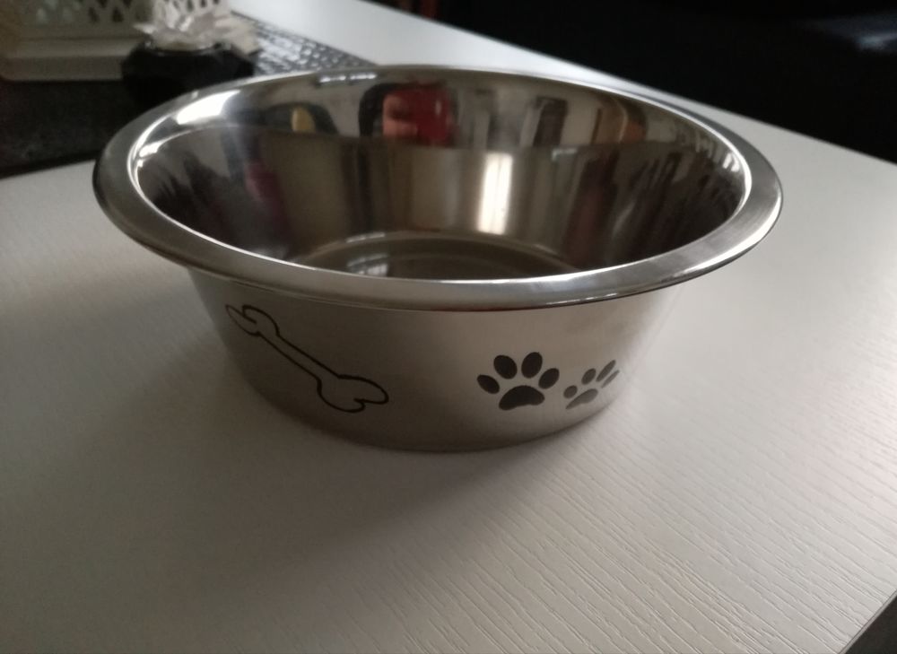 Gamelle pour chien Cuisine