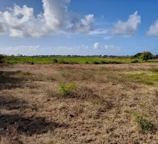  Terrain  vendre 880 m