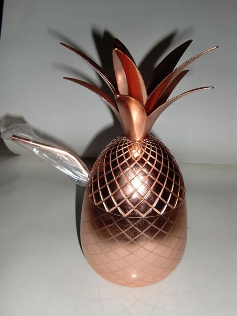 Verre/rcipient Ananas avec paille mtallique assortie 15 Rueil-Malmaison (92)