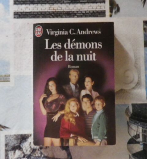 LES DEMONS DE LA NUIT T4 Saga AURORE de Virginia C. ANDREWS 2 Bubry (56)