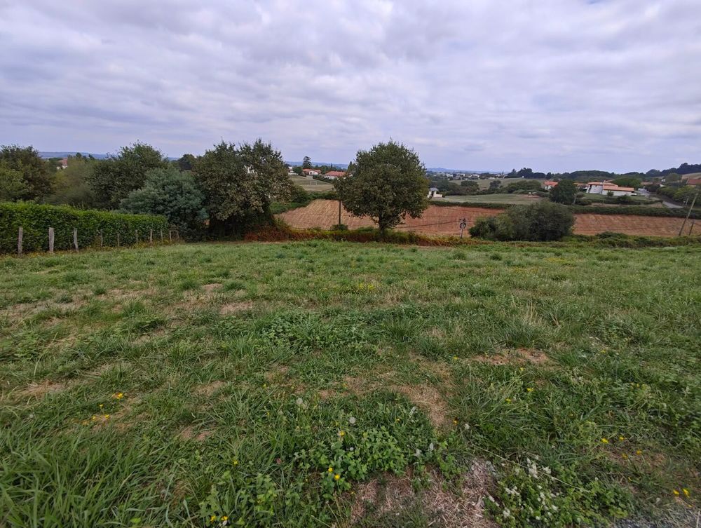 Vente Terrain Terrain 3000 m² (en 2 parcelles) ? Luxe-Sumberraute 