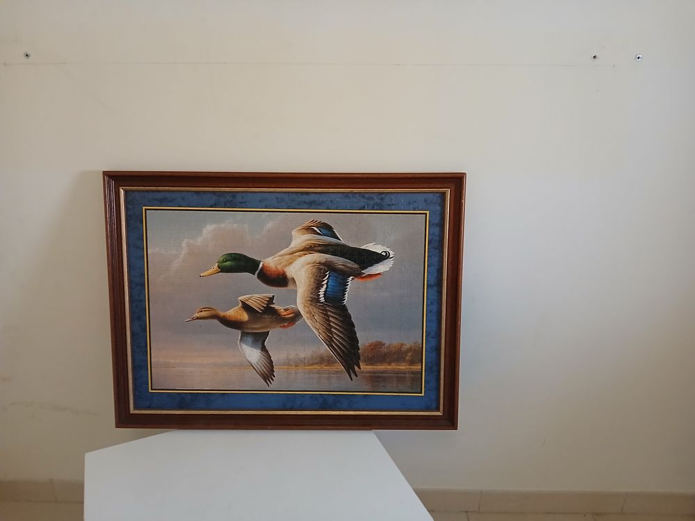 vide maison sur Narbonne Meubles