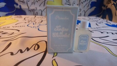 MINIATURE DE PARFUMI 4 Trouy (18)