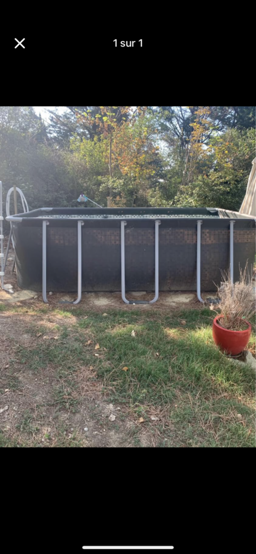 Piscine Jardin