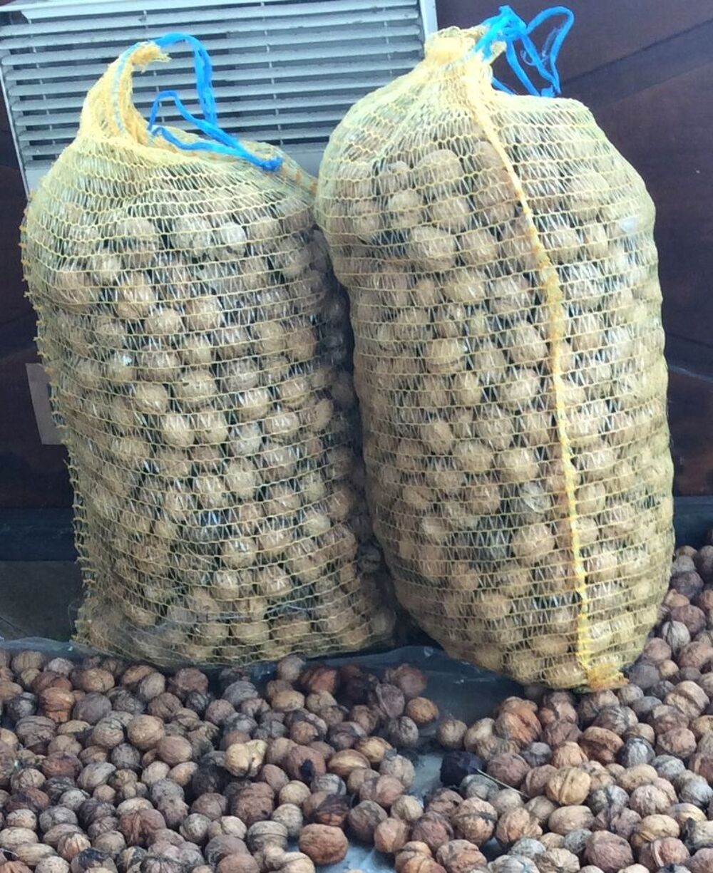 noix recoltes 2020 Jardin