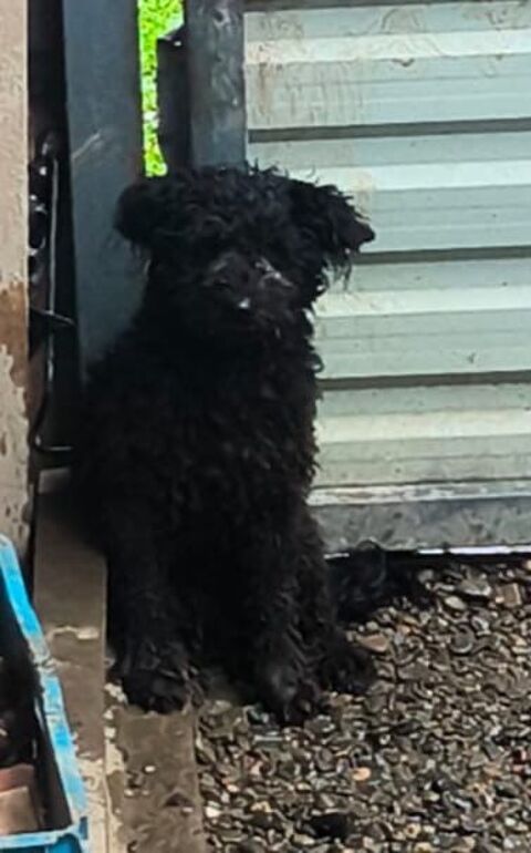 THELMA 0 75018 Paris