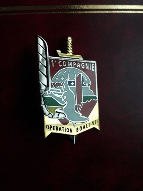 insigne parachutiste - 3e RPIMA - opex - 12 Palaja (11)