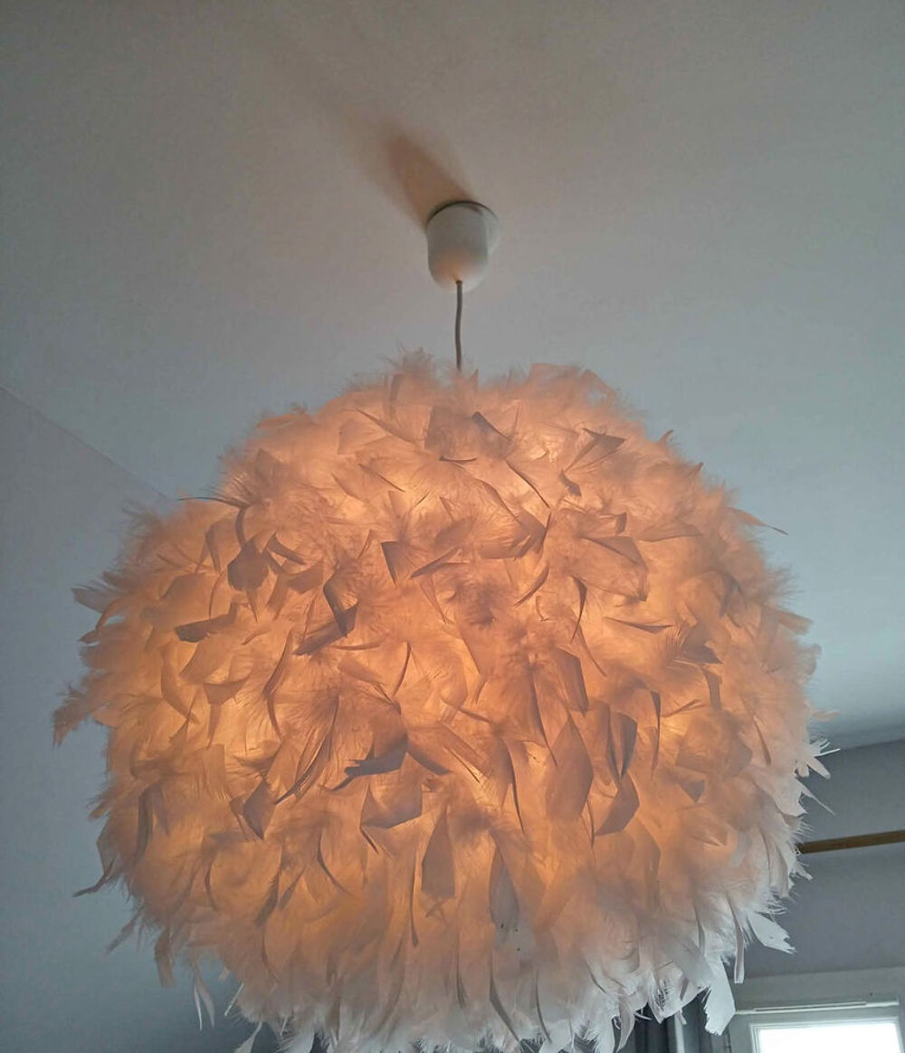 Luste plume Décoration