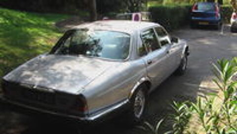 XJ 12 XJ12 6.0 A 1983 occasion 06000 Nice